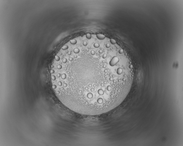 X0000115111446200911171254