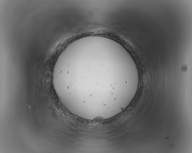 X0000115111447200911171253