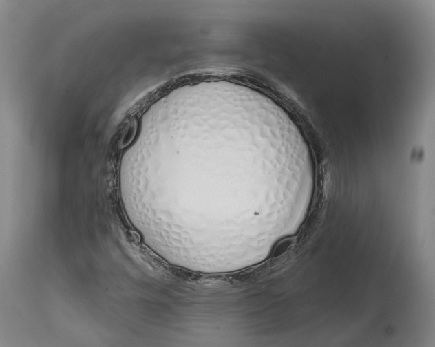 X0000115111448200911171253