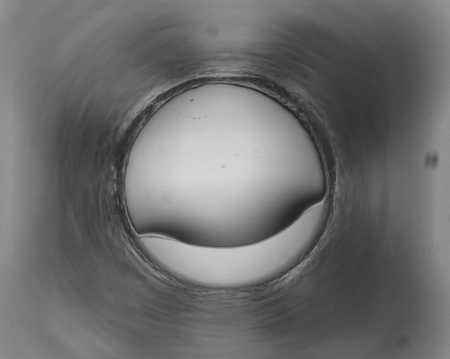 X0000115111449200911171253