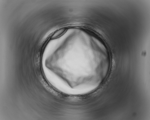 X0000115111450200911171253