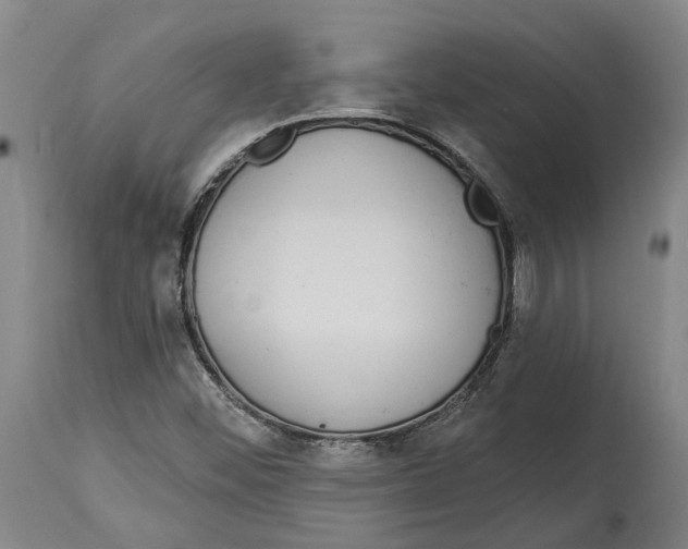 X0000115111452200911171253