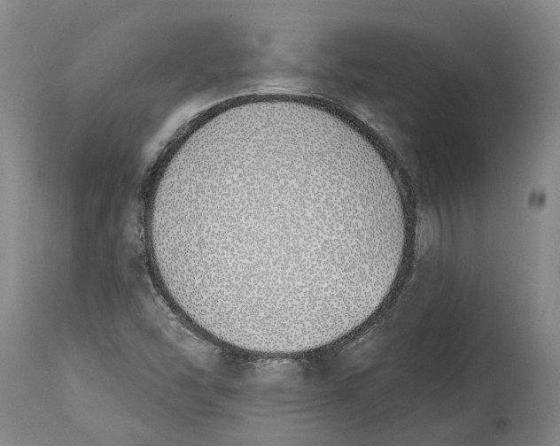 X0000115111454200911171253