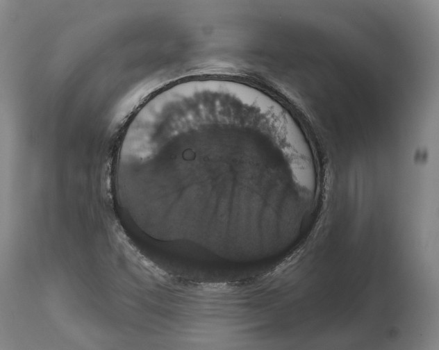 X0000115111455200911171253