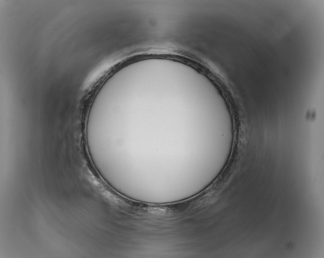 X0000115111456200911171253