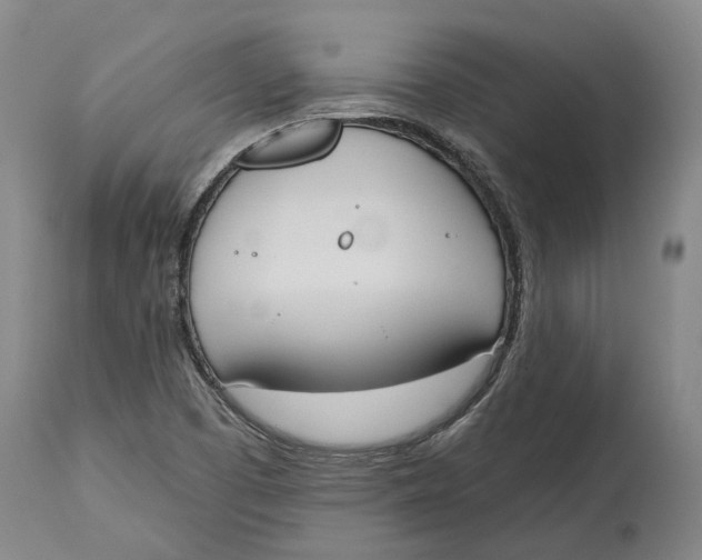 X0000115111457200911171253