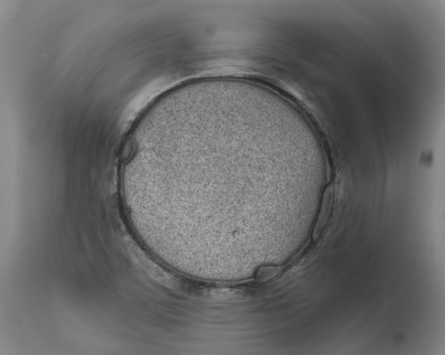 X0000115111459200911171253