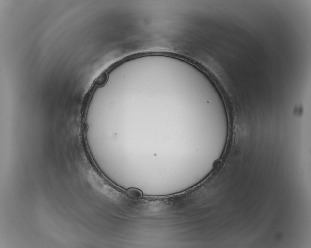 X0000115111460200911171253