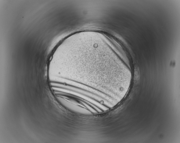 X0000115111461200911171253