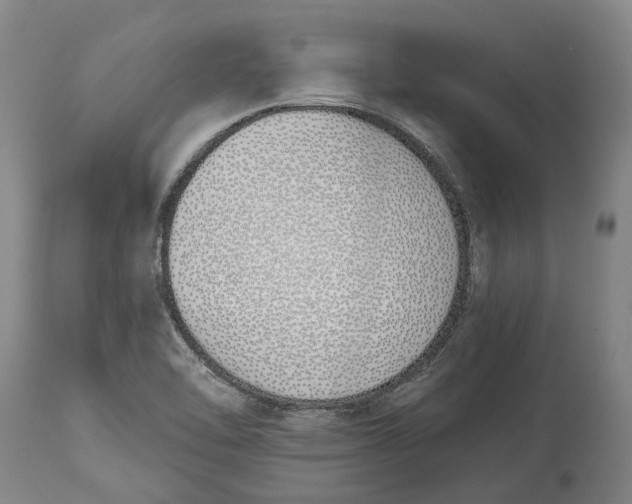 X0000115111462200911171253