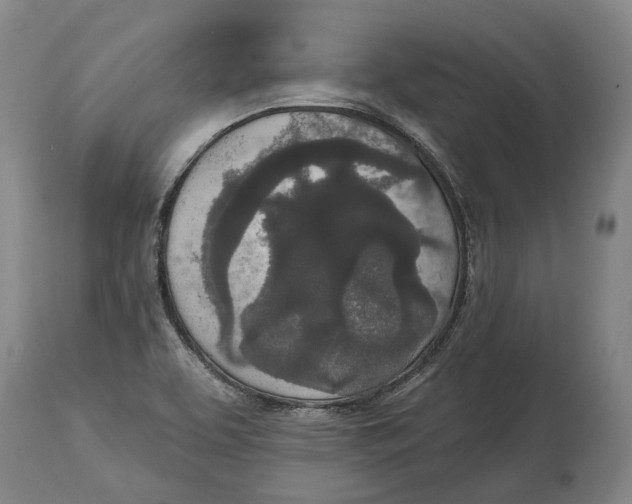 X0000115111463200911171253