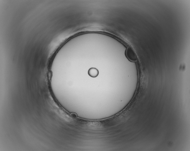 X0000115111464200911171253