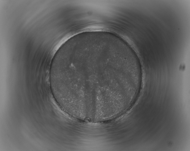 X0000115111465200911171253