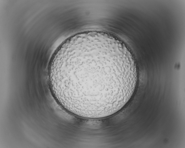X0000115111466200911171253