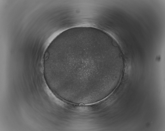 X0000115111468200911171253