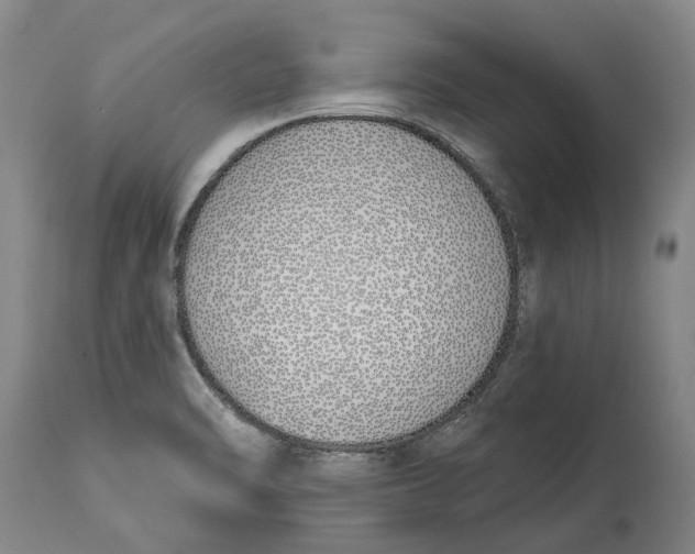 X0000115111470200911171253