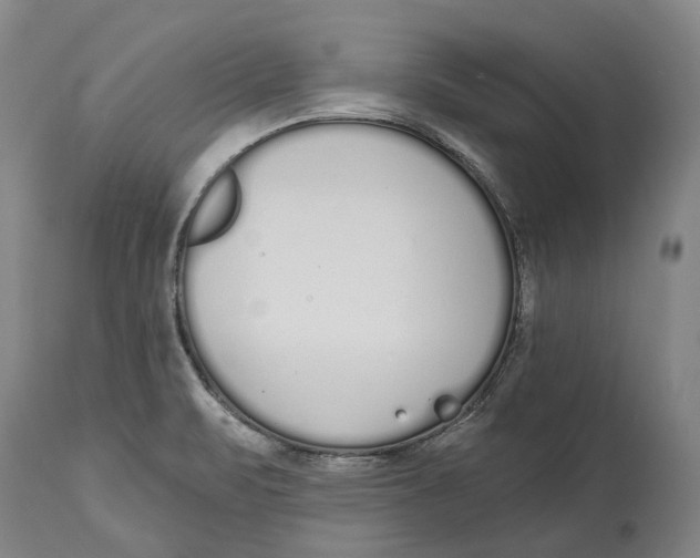 X0000115111471200911171253
