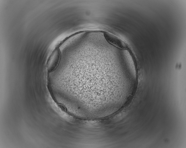 X0000115111472200911171253