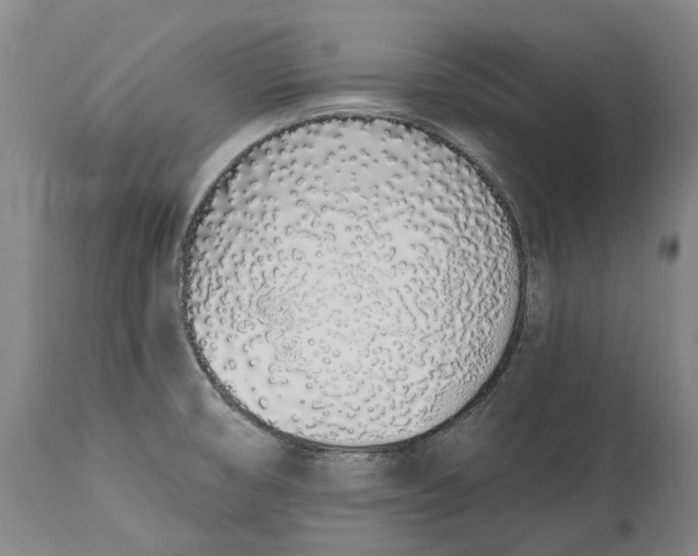 X0000115111474200911171253