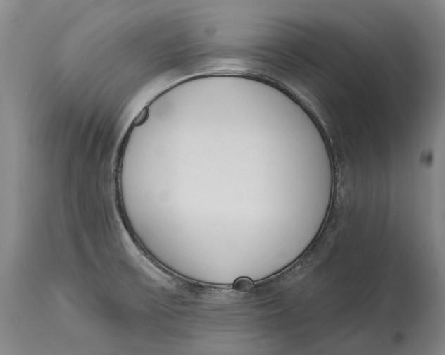 X0000115111475200911171253