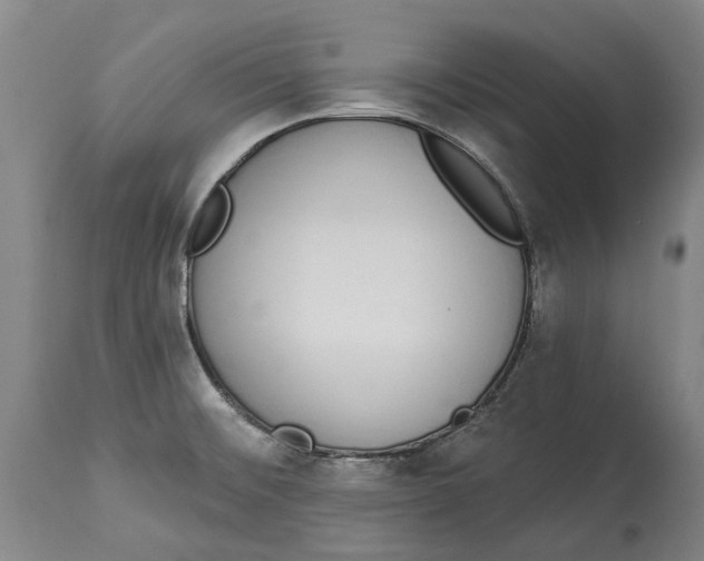 X0000115111476200911171253