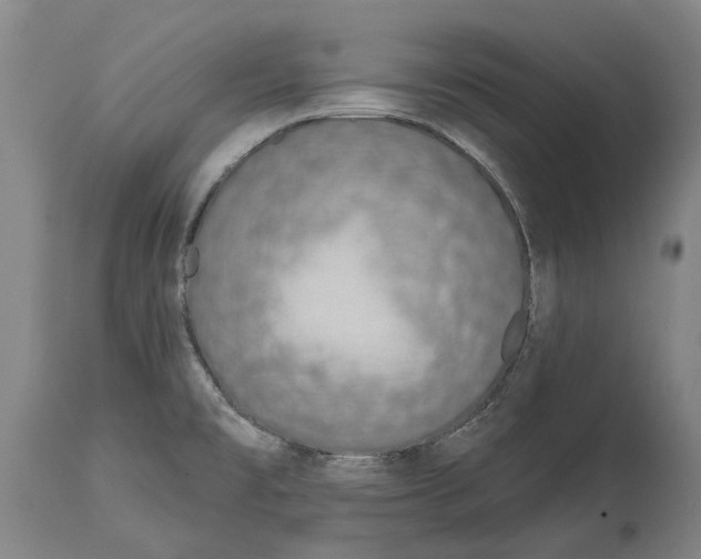 X0000115111477200911171253