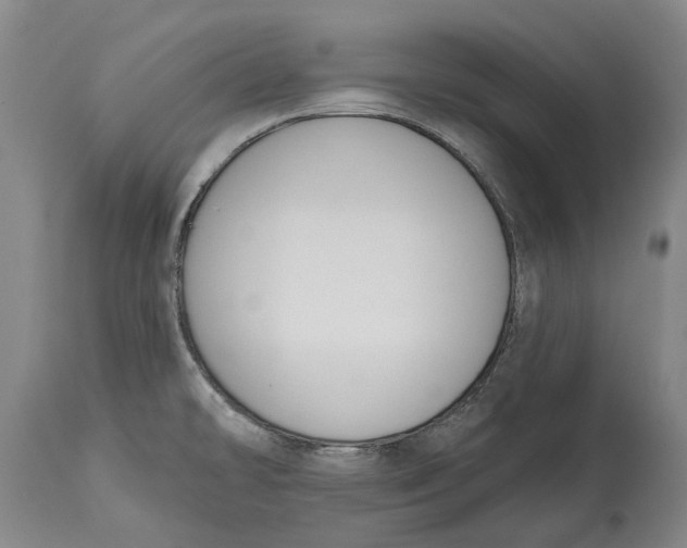 X0000115111478200911171253