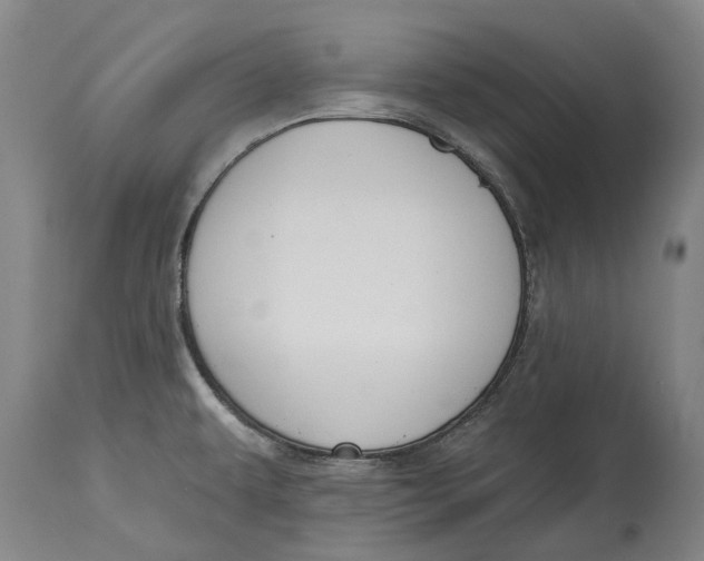 X0000115111479200911171253