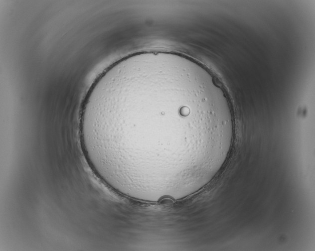 X0000115111480200911171253