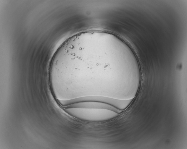 X0000115111483200911171253