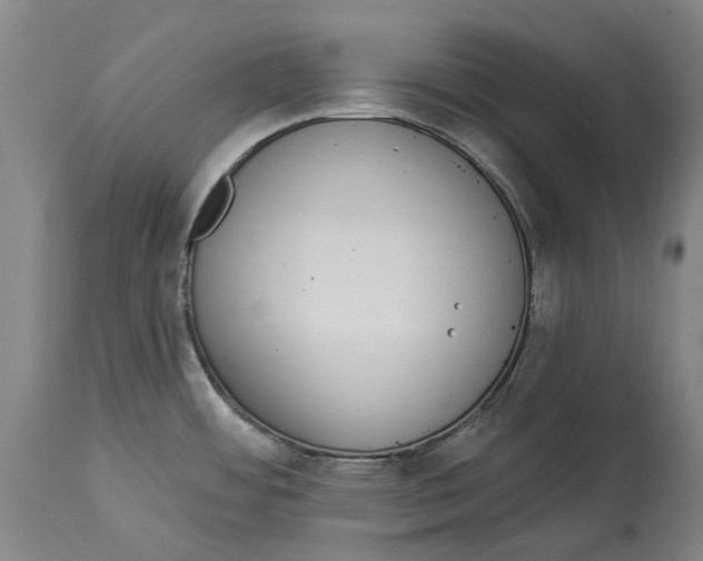 X0000115111484200911171253