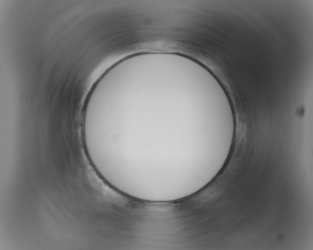 X0000115111486200911171253