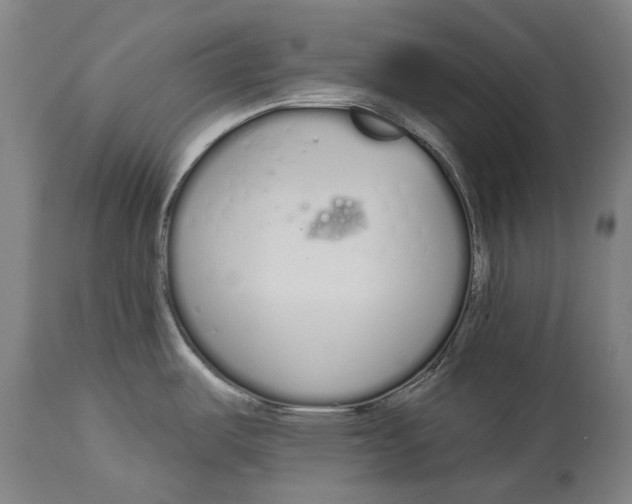 X0000115111487200911171253