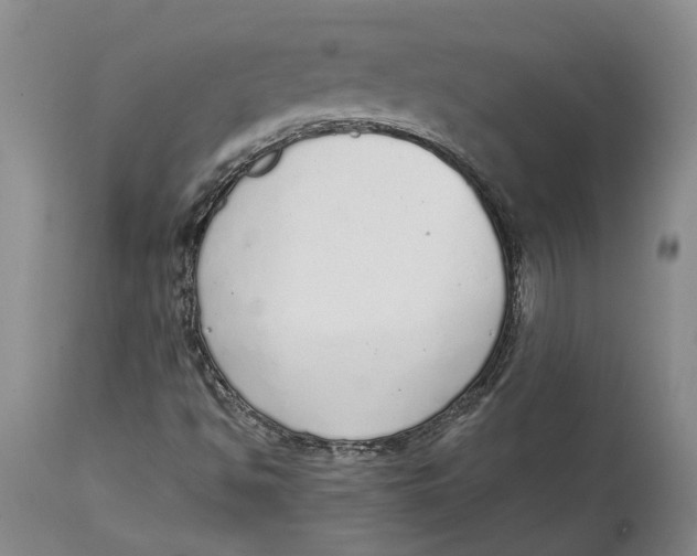 X0000115111494200911171252