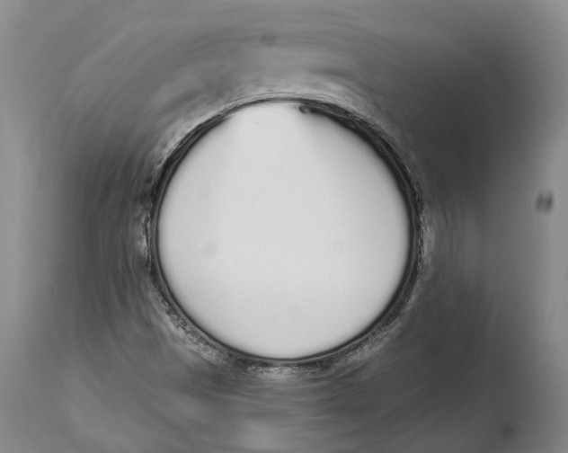 X0000115111497200911171252