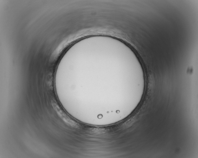 X0000115111499200911171252