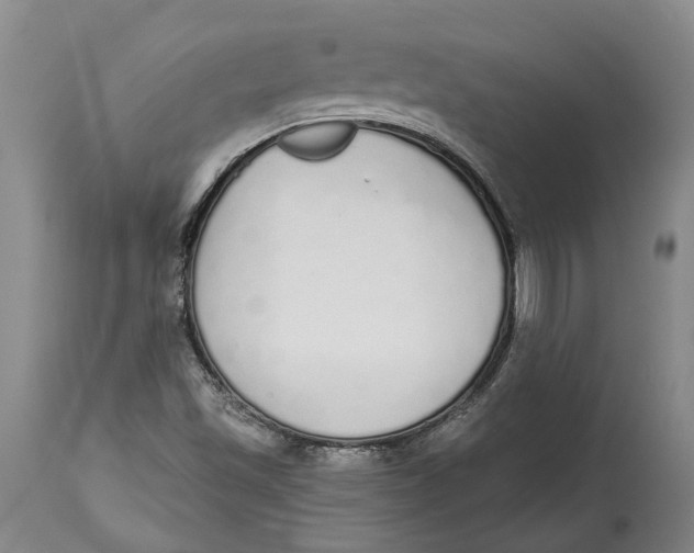 X0000115111501200911171252