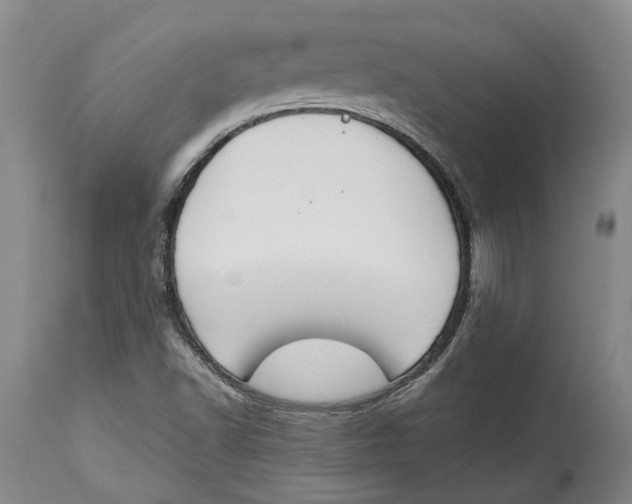 X0000115111502200911171252
