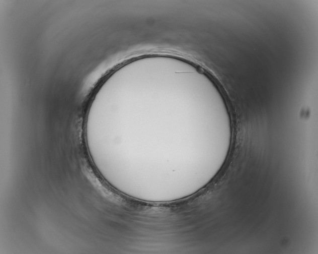 X0000115111503200911171252