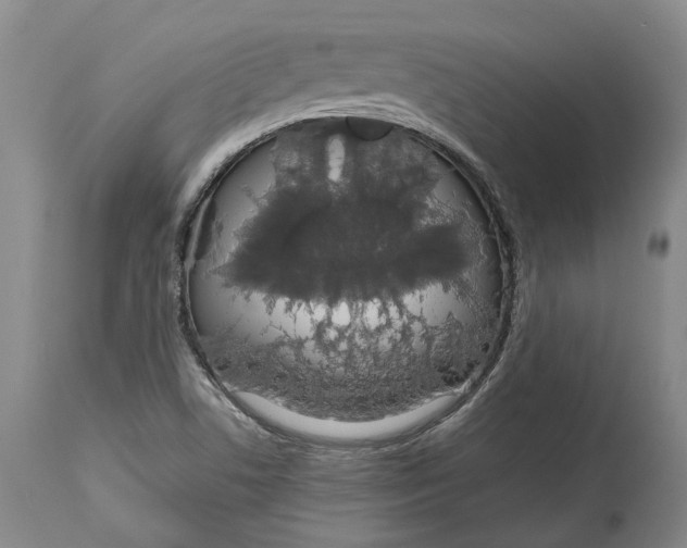 X0000115111506200911171252