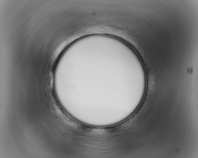 X0000115111509200911171252