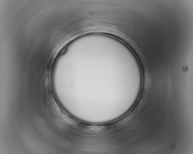 X0000115111513200911171252