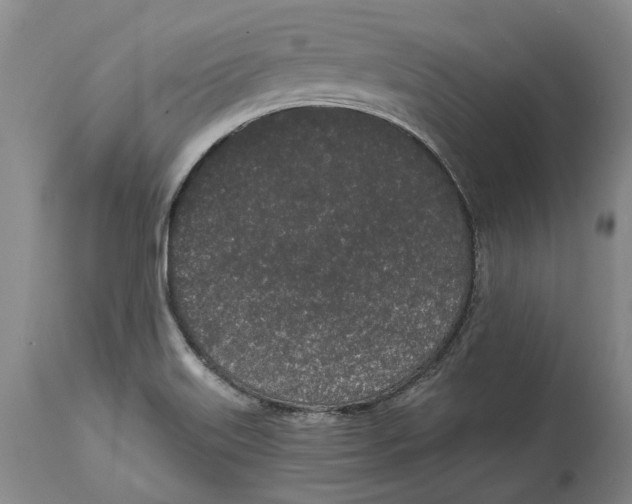 X0000115111515200911171252