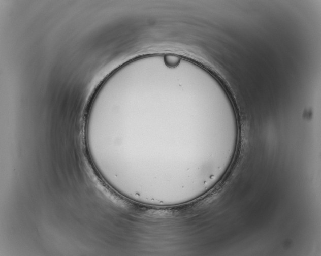 X0000115111517200911171252