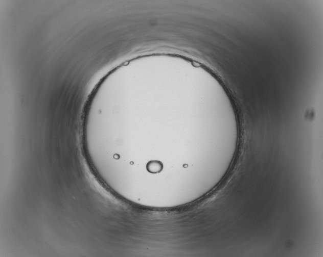 X0000115111518200911171252