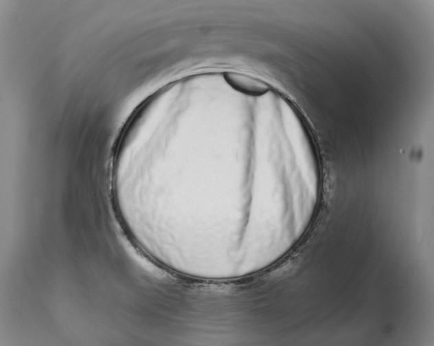 X0000115111519200911171252