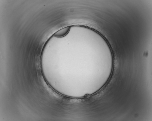 X0000115111521200911171252