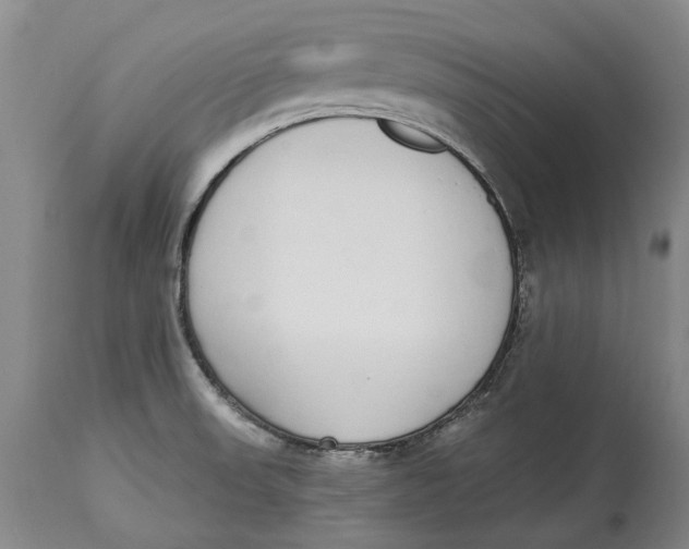 X0000115111523200911171252