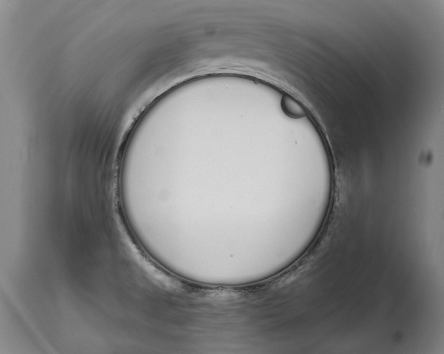 X0000115111525200911171253