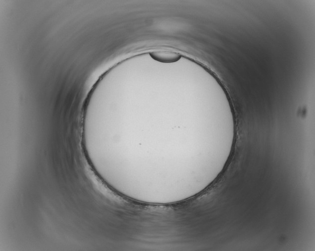 X0000115111526200911171253